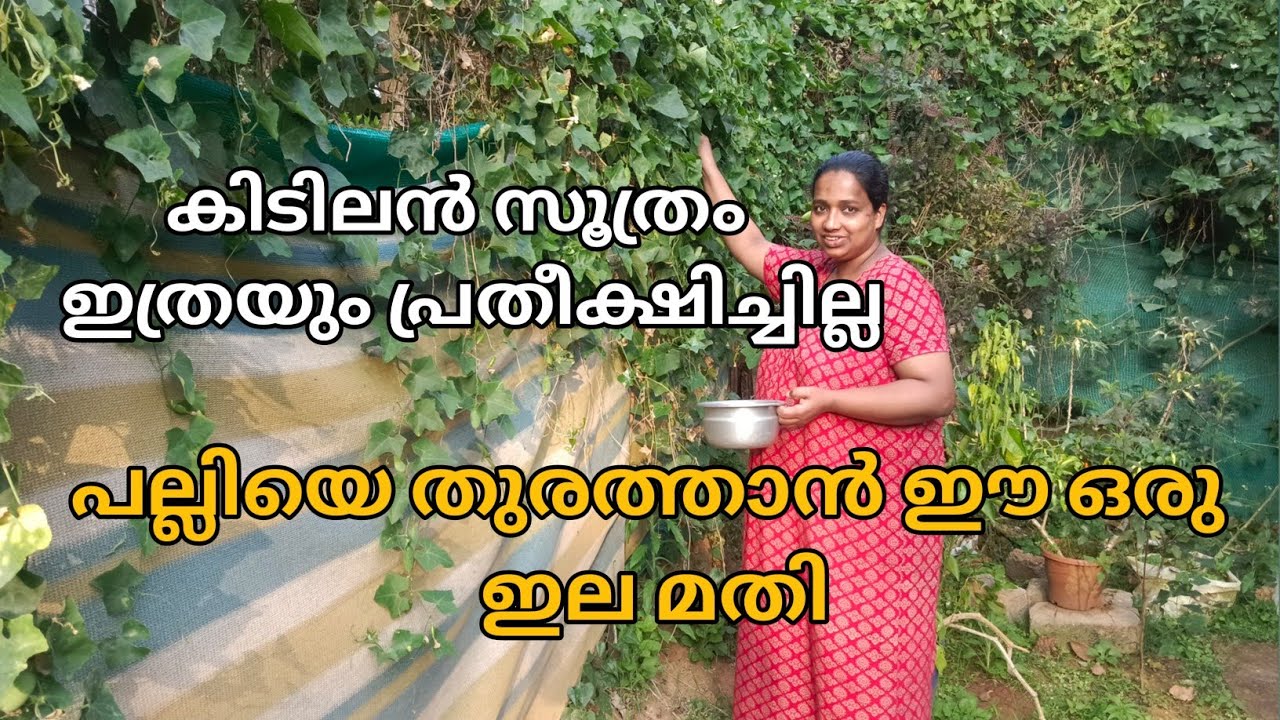 Day in my life |village life style | Bathery Kitchen❤️