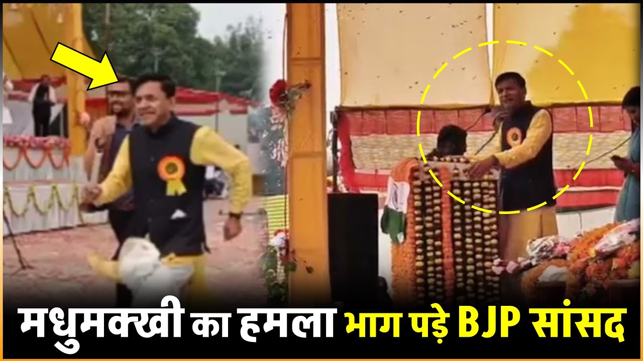 BJP MP Shashank Mani Tripathi Attacked by Bees in Deoria | Viral Video