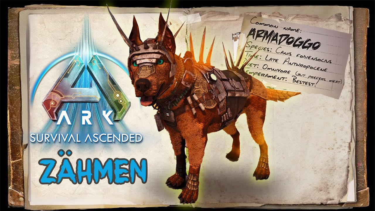 ASA ARMADOGGO LEICHT Z&Auml;HMEN + F&Auml;HIGKEITEN / S&Auml;TTEL | Kompletter GUIDE