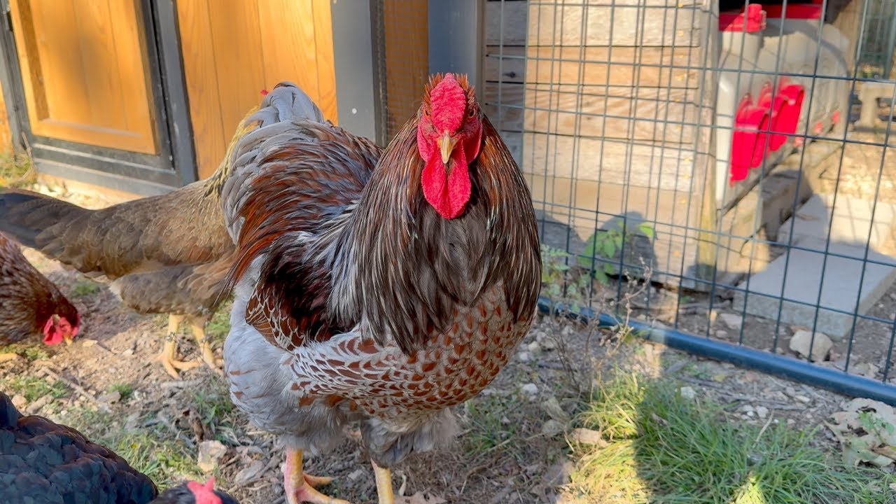 Я НИКОГДА не думал, что этот день наступит!