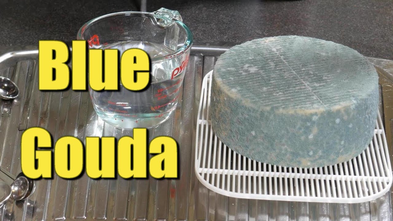 How to make a Blue Gouda