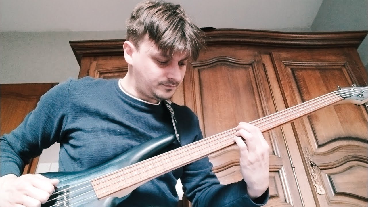 The Warning - Consume - Bass Cover 