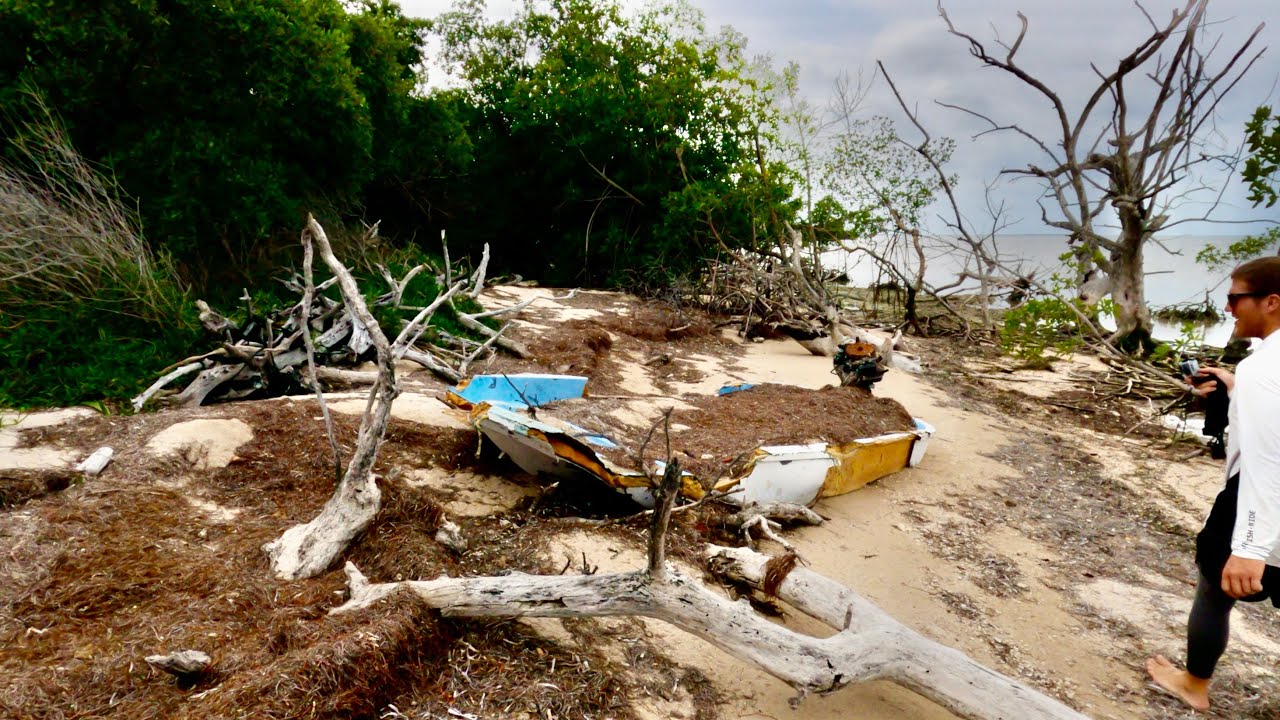 Cleaning The Mangrove Coast and Ocean