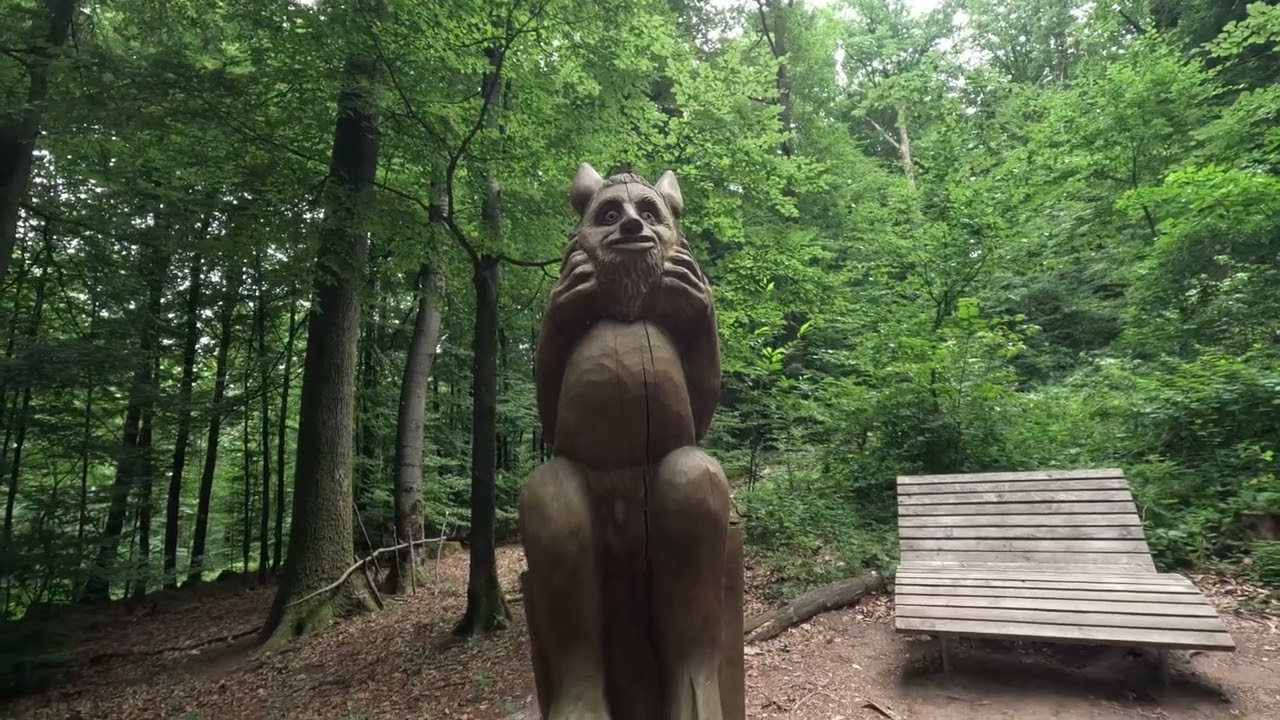 Premiumwanderweg Teufelspfad Pirmasens (Kurzvideo)