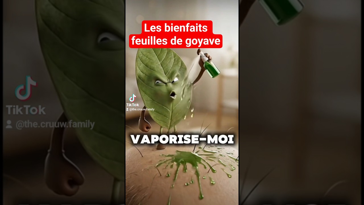 #goyave #pourtoi #chutedecheveux #calvetie #soincapillaire