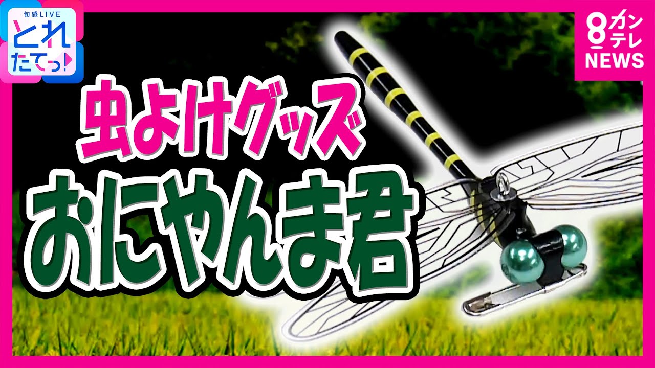 「おもしろいぐらい虫が減る」アイデアグッズ「おにやんま君」　効果は本当にあるのか？社長直撃｜旬感LIVE とれたてっ!〈カンテレNEWS〉