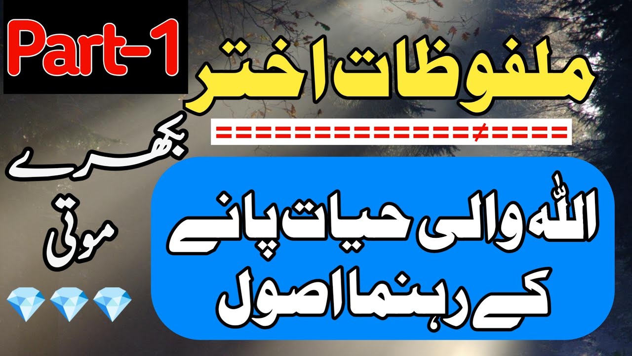 Ethical living in todays world, Maulana Shah Hakeem Akhtar Sahab, Practical guidance for the Muslims