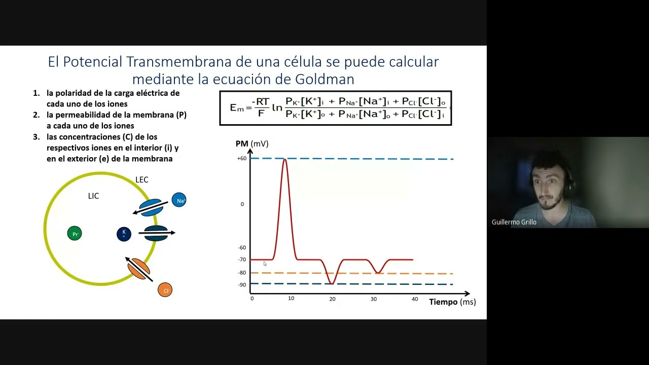Clases de Repaso CyD - Potencial de Membrana