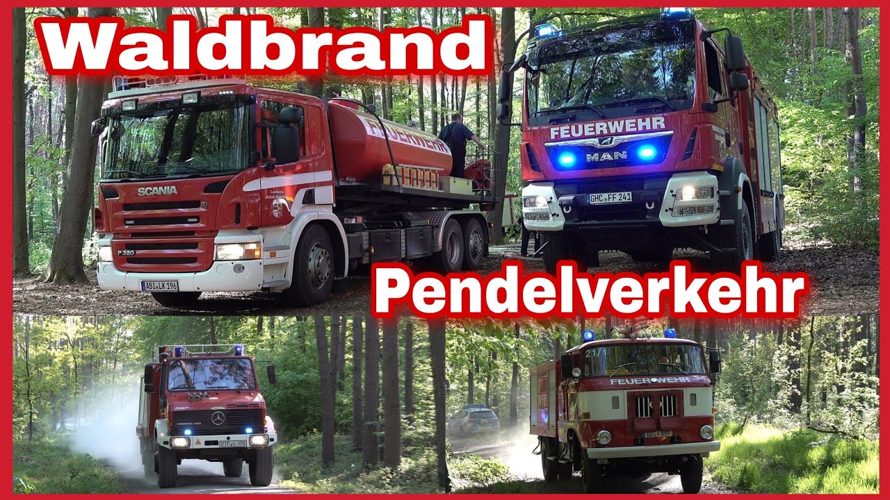Waldbrand in Bad Düben / Feuerwehren aus drei Landkreisen im Einsatz / Einsatzfahrten Pendelverkehr