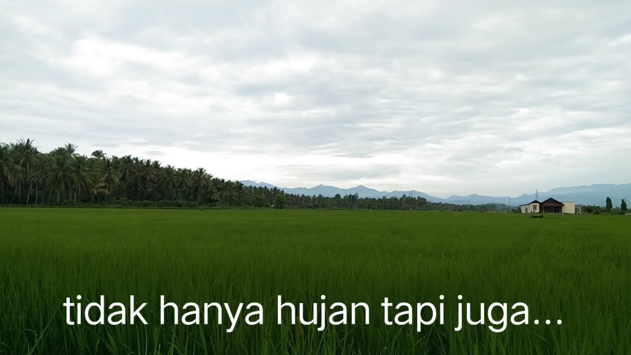 Di Antara Sawah, Waktu Berjalan Lebih Lambat | Where Time Moves Slower in the Fields