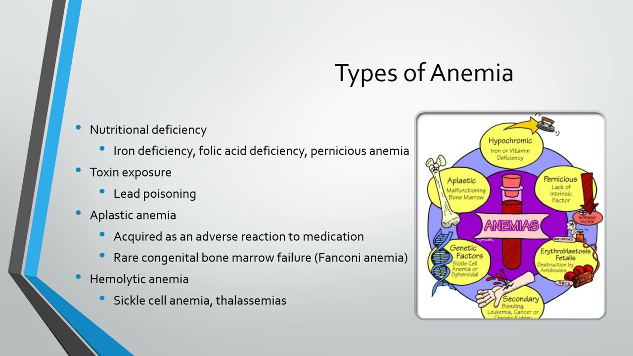 Chapter 46 Alteration in Cellular Regulation Hematological or Neoplastic Disorders
