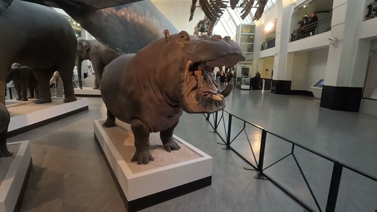 Natural History Museum London