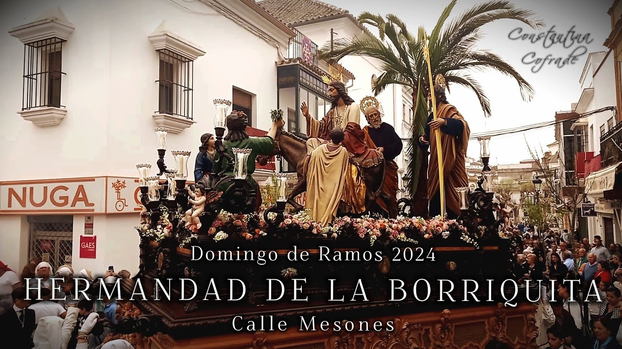 #SSantaConstantina24 | La Borriquita | Calle Mesones | BCT Zoílo Ruiz-Mateos (Rota)