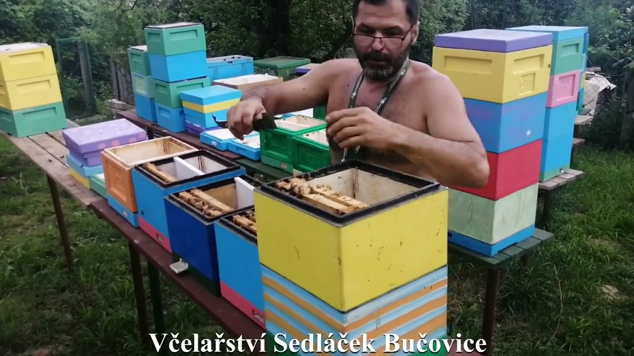 65/24  Tvorba miniplusů. Vlastn&iacute; tvorba rozdělen&iacute;m 4/6