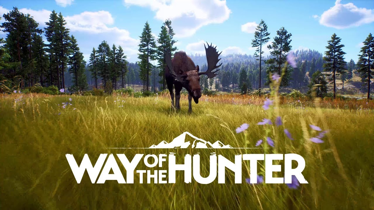 Może łosia? - Way of the HUNTER || live ||