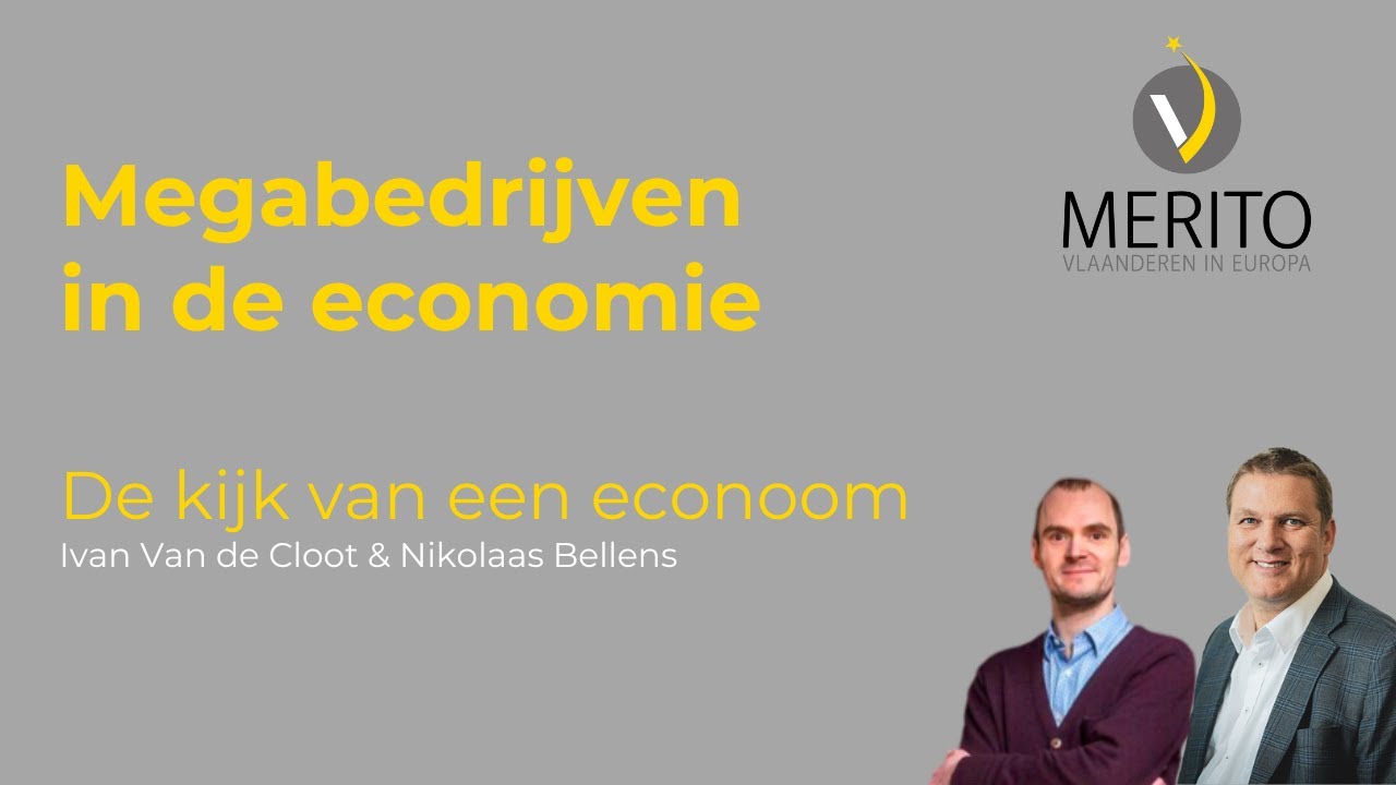 Schaalbaarheid van economische activiteiten