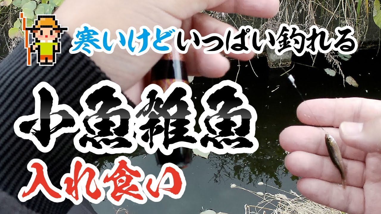 【小物釣り】極小の鈎で小魚雑魚釣りタナゴを探す旅。モツゴがバンバン釣れました / Micro Fishing