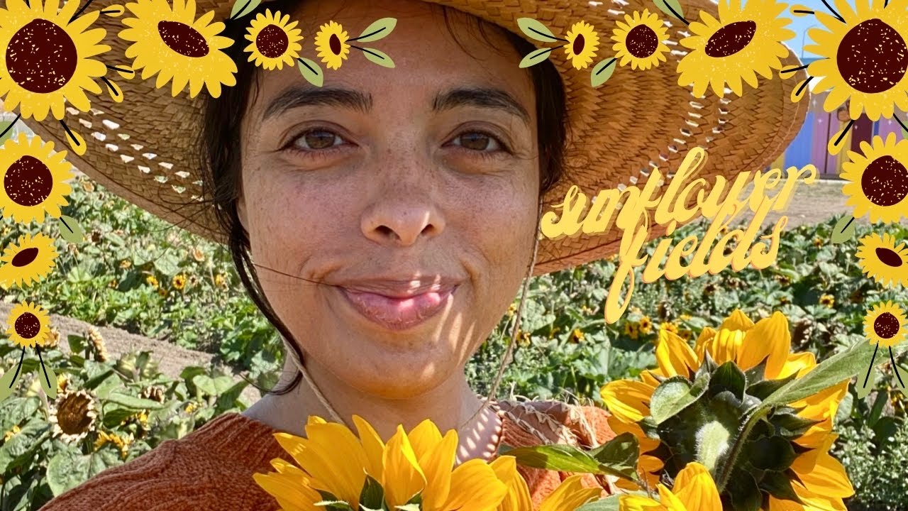 Farm Vlogs: My First Time At Hana Sunflower Fields