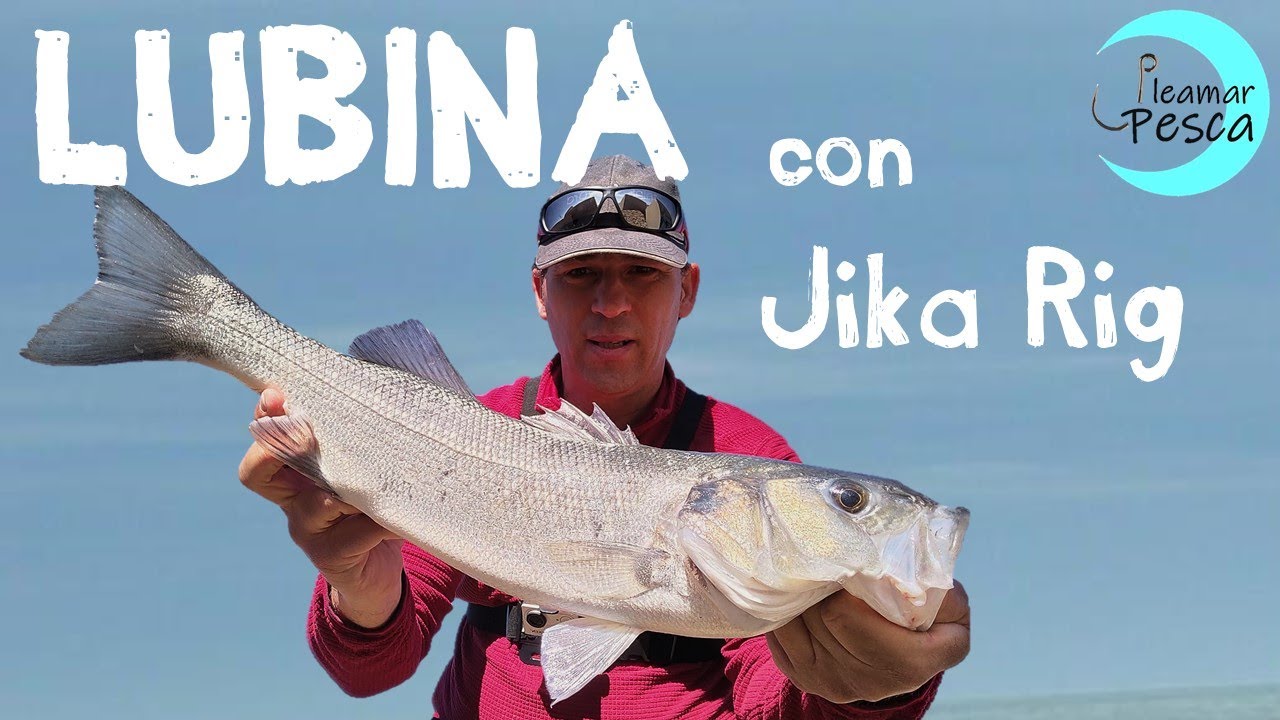 LUBINA con Jika Rig: Spinning en HUELVA