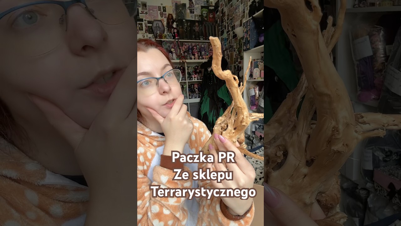 Sklep terrarystyczny wysłał mi paczkę PR! @Brodategady #terrarystyka #hodowla #gady #jaszczurka