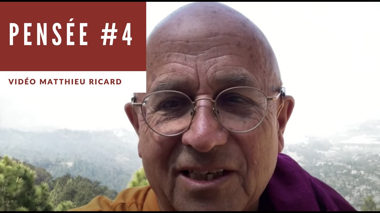 Pensée #4 - L'interdépendance - Matthieu Ricard