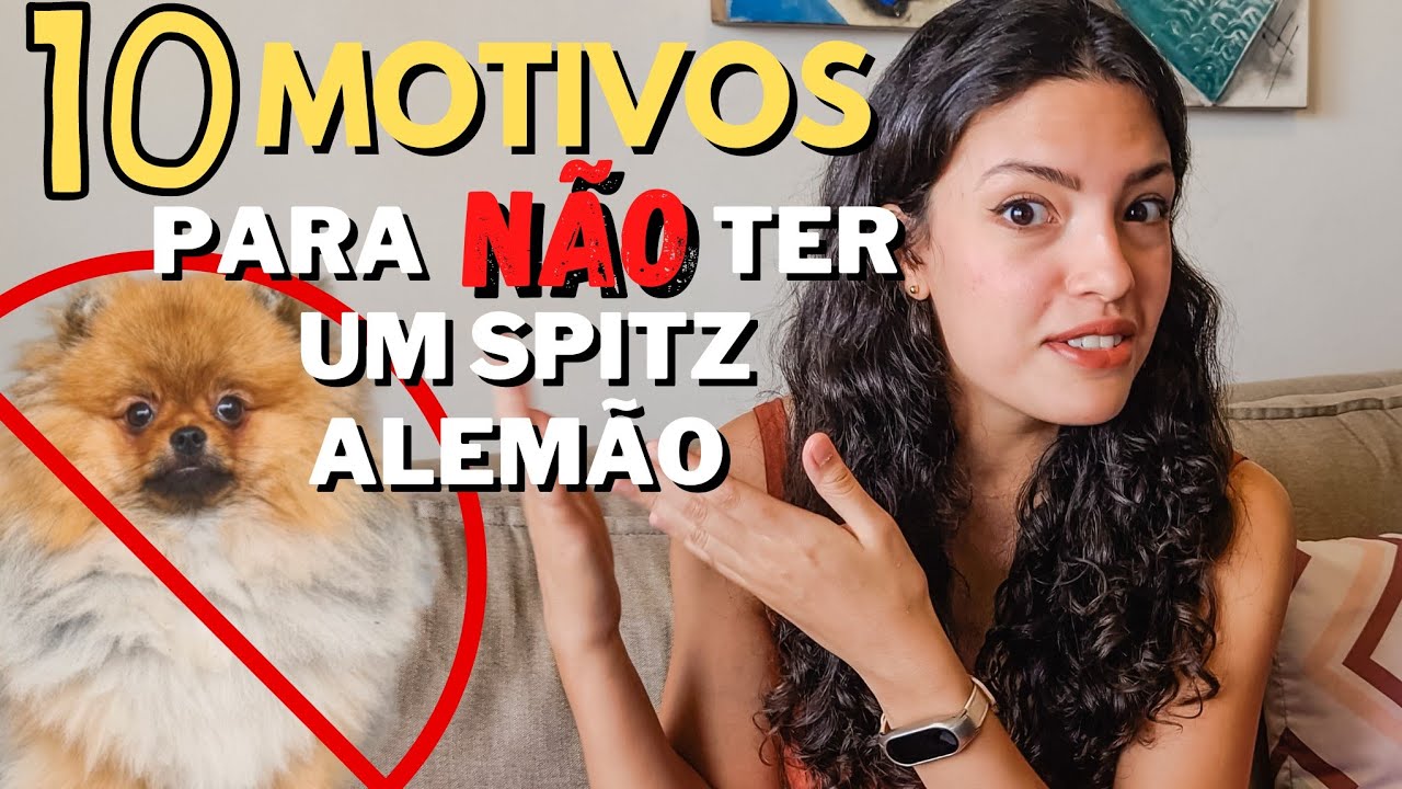 10 Motivos para NÃO TER um SPITZ ALEMÃO