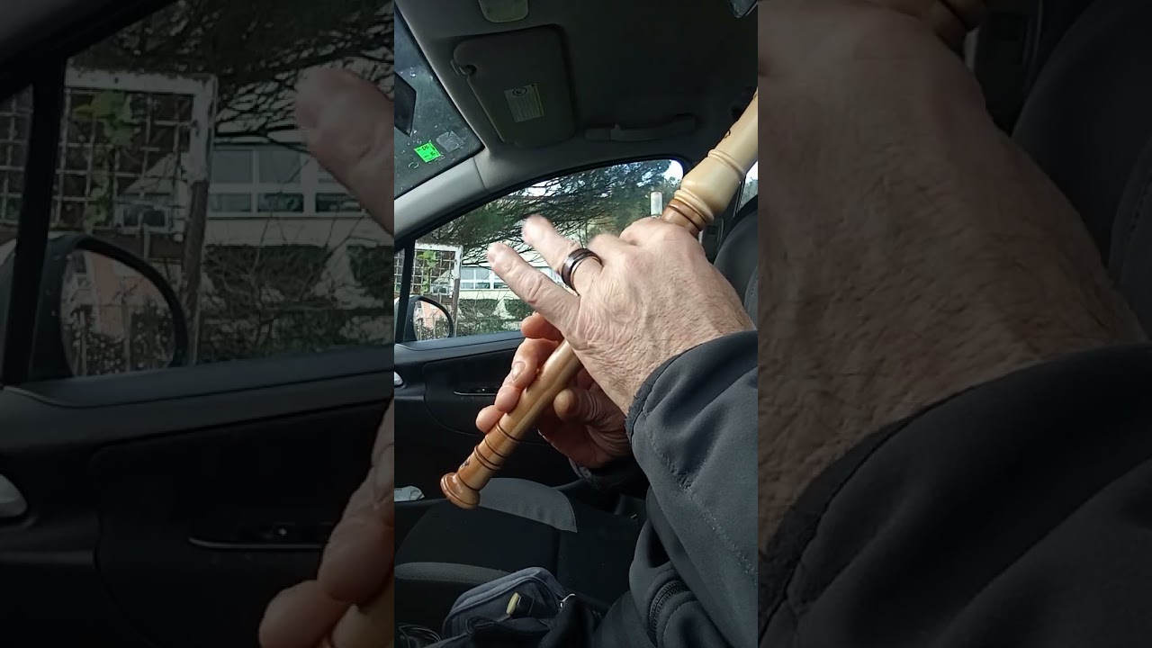 Aires de Pontevedra en frauta de aveleira.