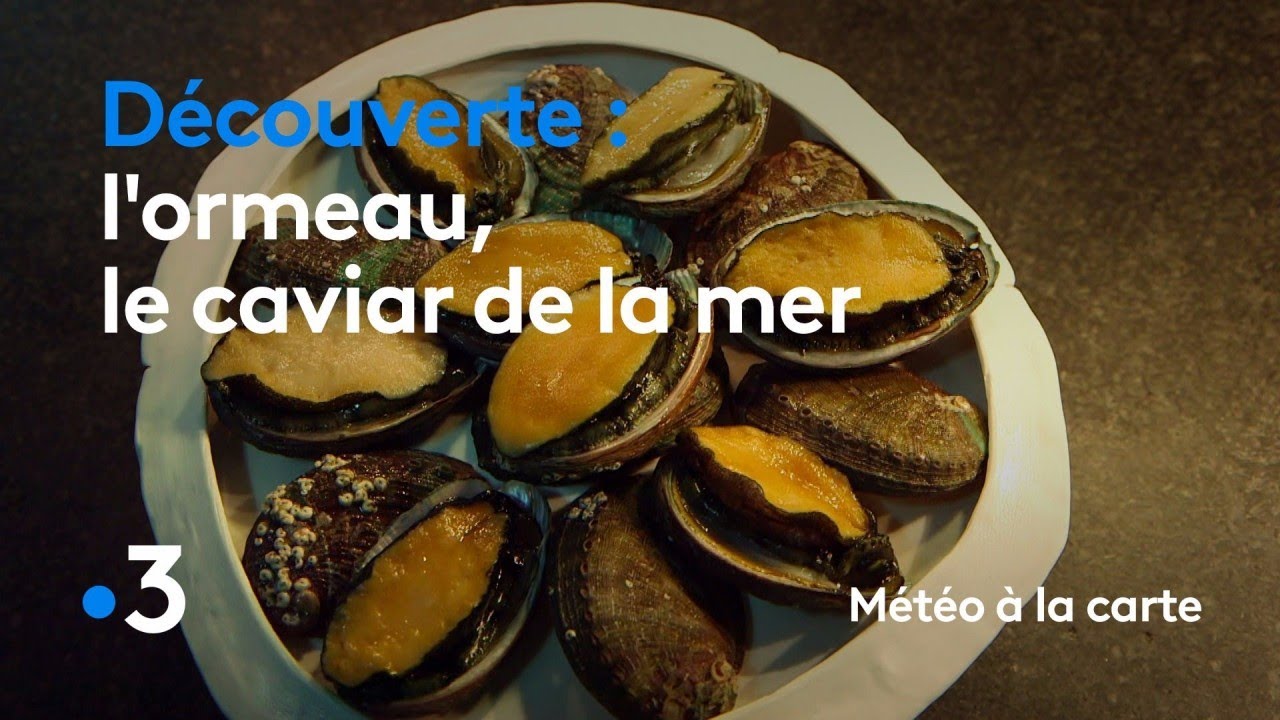 L’ormeau, le caviar de la mer - Météo à la carte