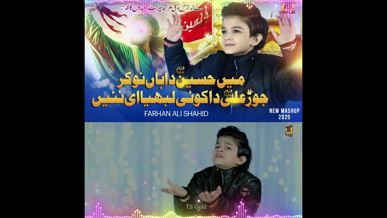 Mien Hussain Da Haan Noukar By Farhan Ali Shahid TS Gold