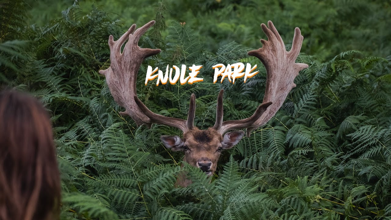 Knole Park UK | Fujifilm X-T3 Cinematic