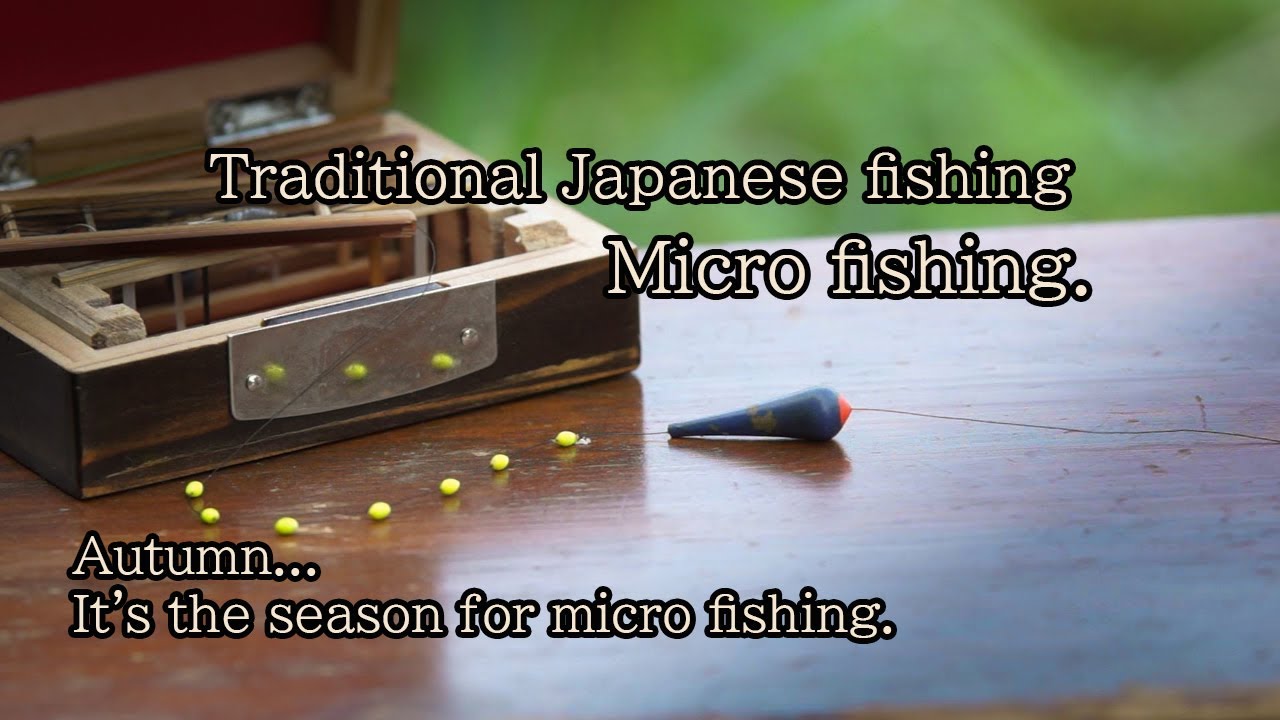 Traditional autumn micro fishing in Japan.