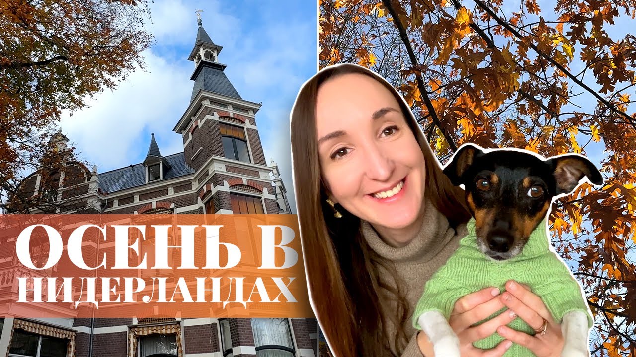 ОСЕНЬ В НИДЕРЛАНДАХ, СВЕТОВОЙ ФЕСТИВАЛЬ GLOW EINDHOVEN, СПА И УЖАСЫ АМСТЕРДАМА. ОСЕННИЙ ВЛОГ 2023