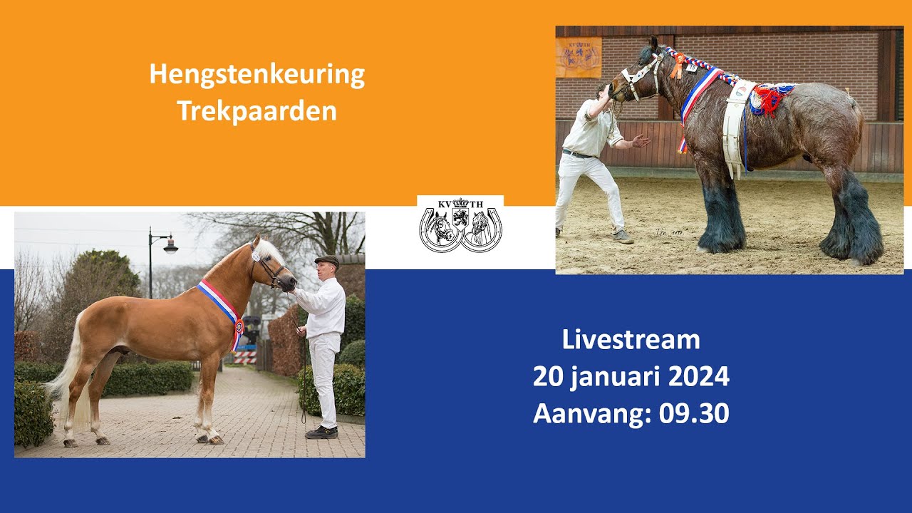 Hengstenkeuring Trekpaarden 2024