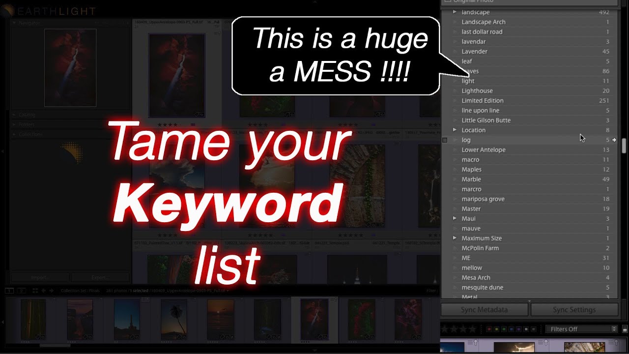 Taming your Lightroom Keyword list Part 1