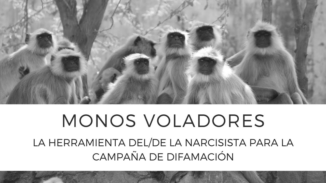 Monos Voladores (La Herramienta del/de la Narcisista para la Campaña de Difamación)