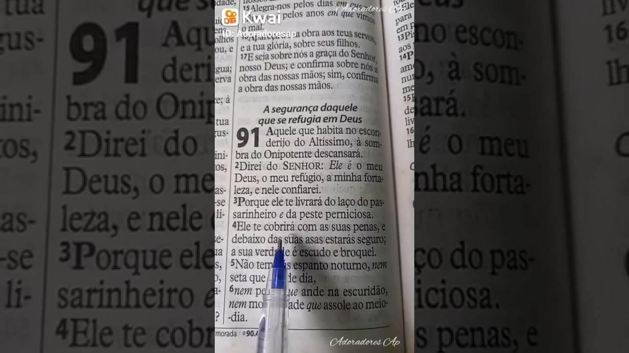 B&iacute;blia Sagrada  / Salmos 91