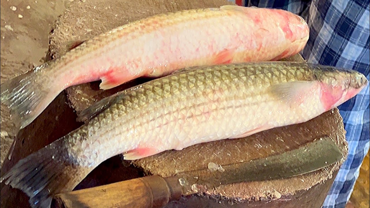All Fish Cutting Skill | Fastest Hilsa-Rohu-Katla-Batta-Red Snapper-Prawns Cutting In Fish Market