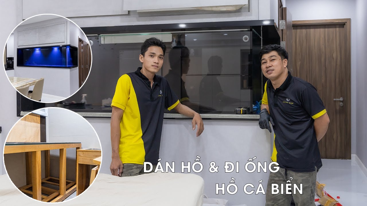 HỒ CÁ BIỂN QUẬN 10 | Thi công gỗ - ống nước | Hoàn thiện và vô nước bàn giao cho khách