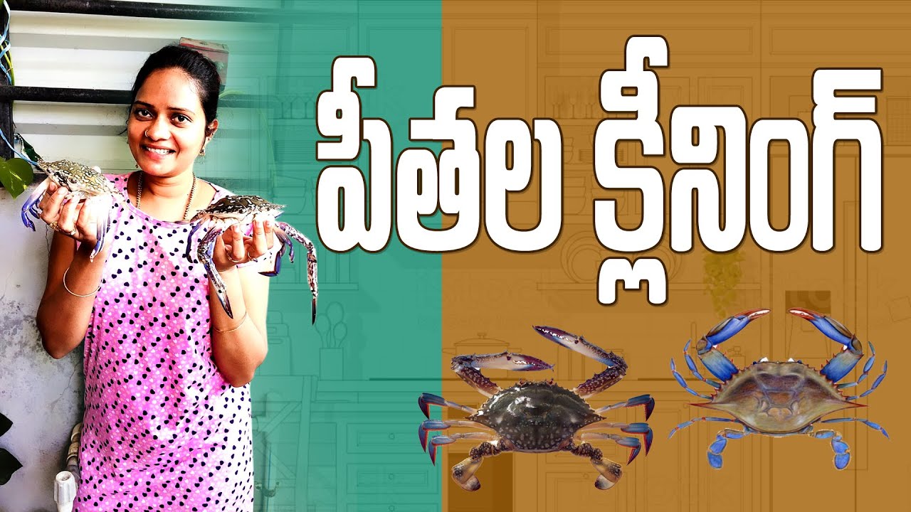 Crabs cleaning in telugu|Peethalu cleaning in telugu|Mee Swathiappu