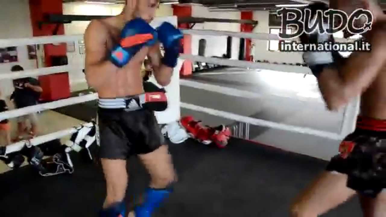 adidas boxing - new line - Sparring Paolo Barbanti e Doru Manolea - Budo International