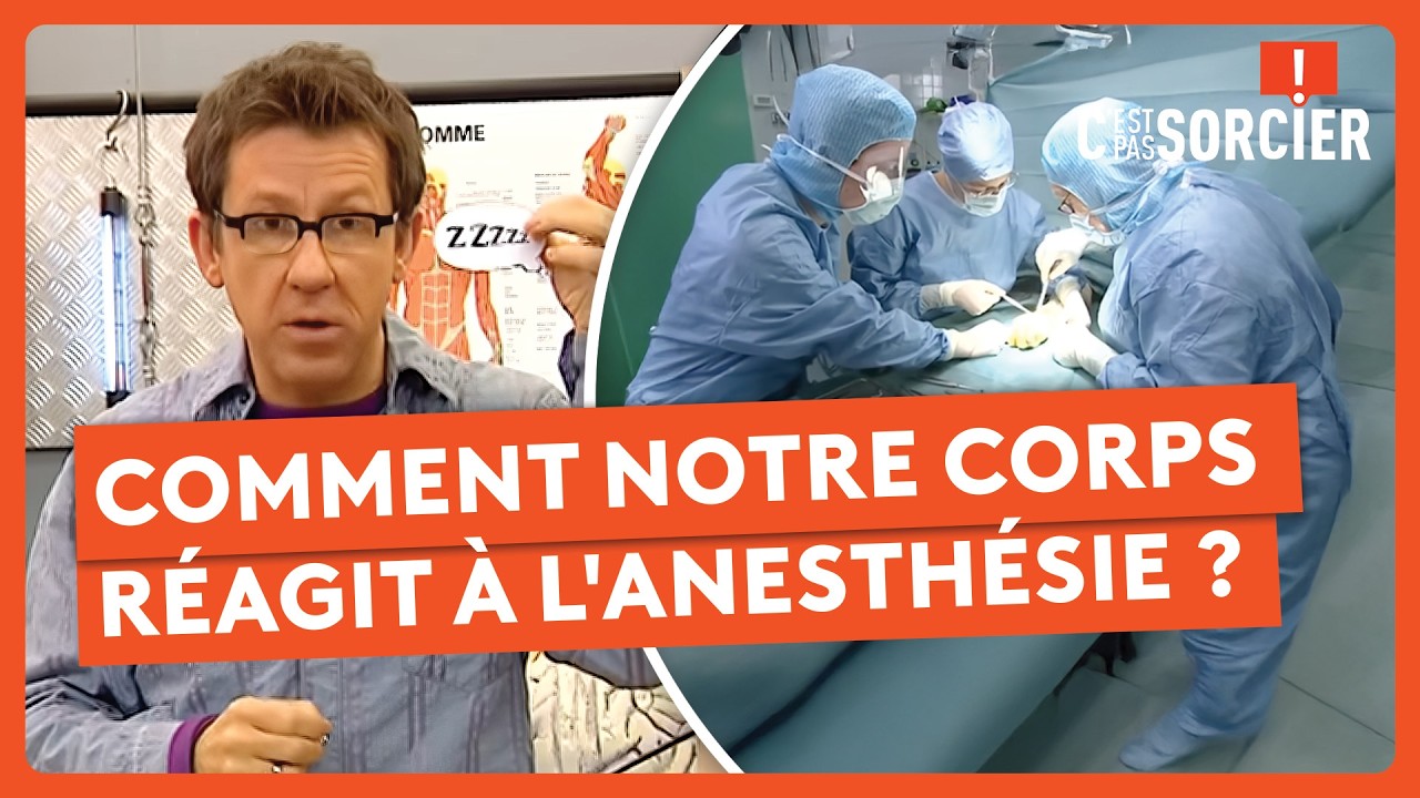 Comment notre corps réagit à l'anesthésie ? - C'est pas sorcier