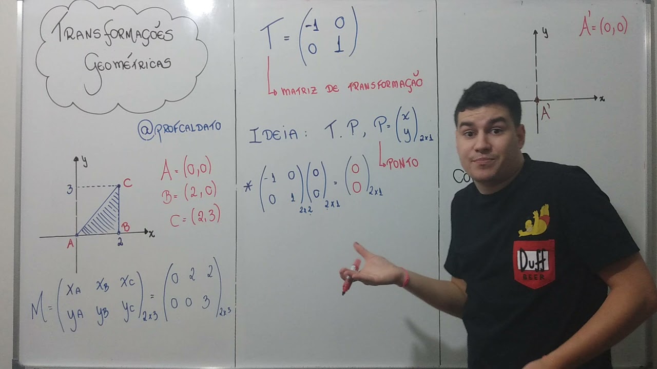 Aplicação de Matrizes em Transformações Geométricas