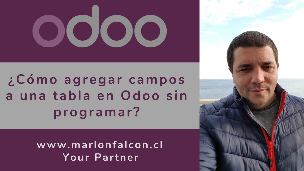&iquest;C&oacute;mo agregar campos a una tabla en Odoo sin programar?