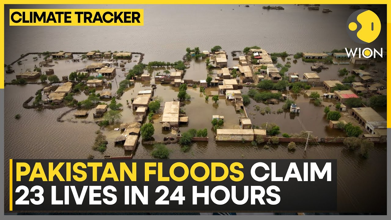 Pakistan Floods: Worst Flood Of The Century! Punjab Drowns | Floods In Pakistan | WION