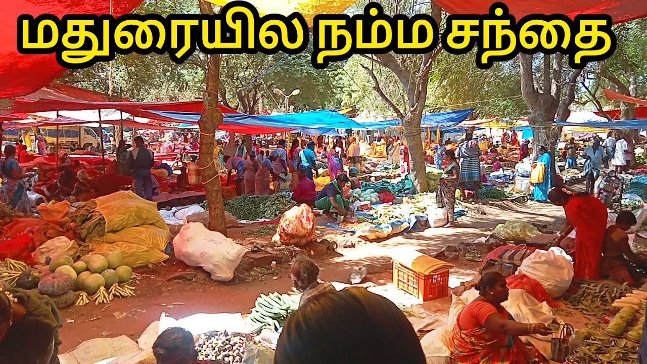 மதுரையில யாரும் பாக்காத சந்தை|Lowprice Kitchen Items,Groceries,Fish,Vegetable Market|MaduraiShopping