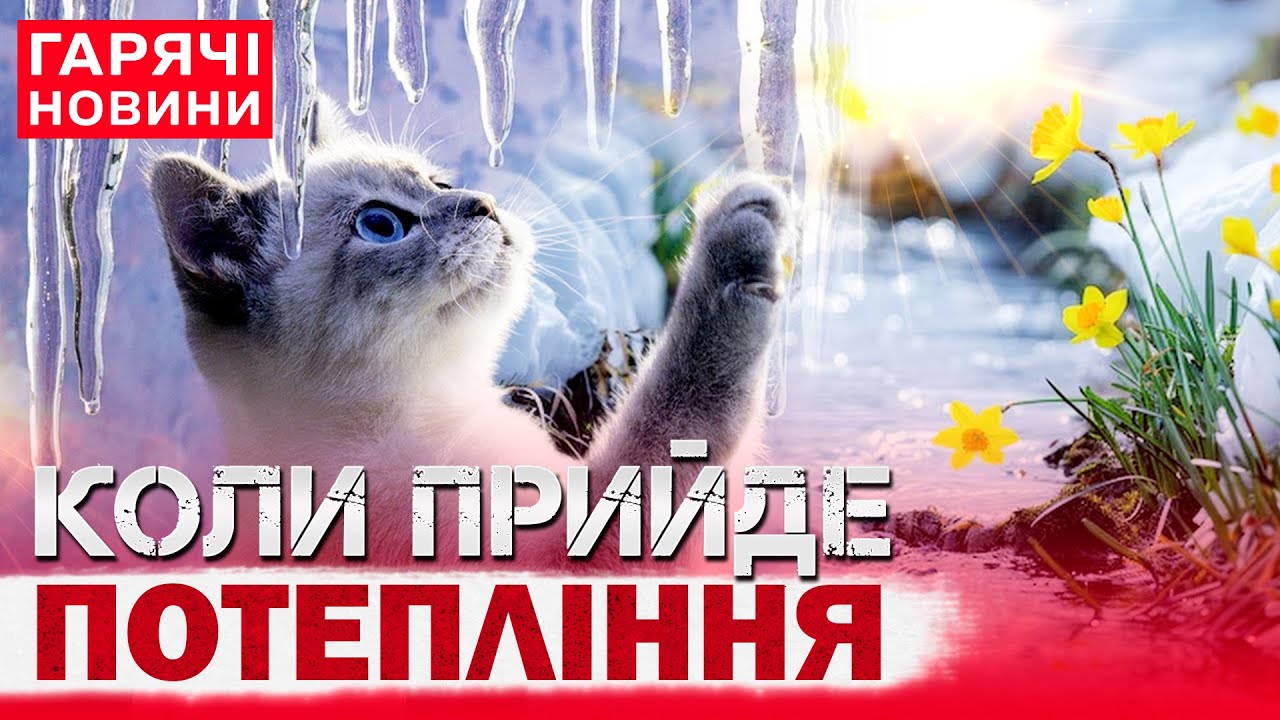 Синоптики сказали, коли в Україні ПОТЕПЛІЄ - прогноз ПОГОДИ, МЕМ ДНЯ та ЯКЕ СВЯТО 4 лютого