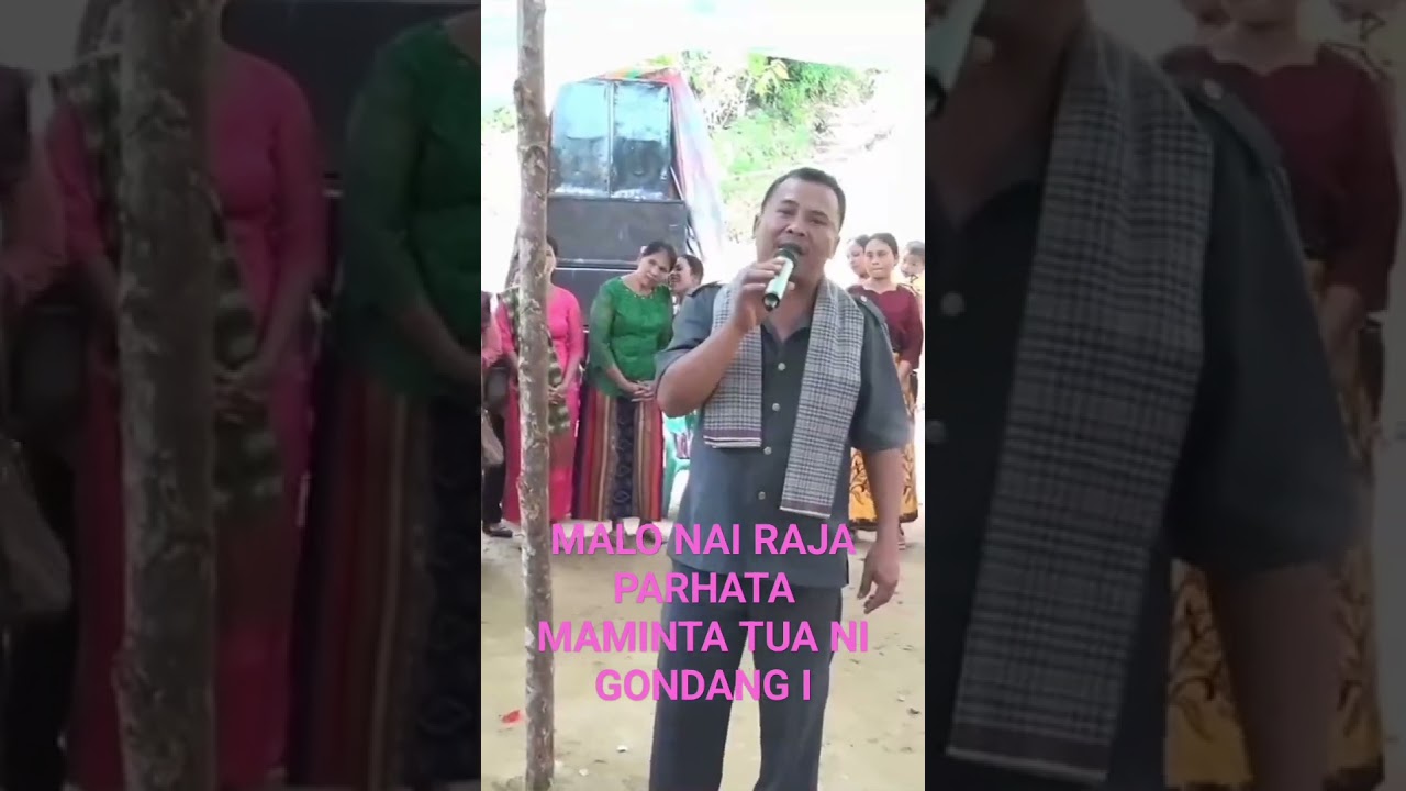 MALO NAI RAJA PARHATA MAMINTA TUA NI GONDANG,TU PARMUSIK #adatbatak,#gondangbatak#shortsfeed#shorts