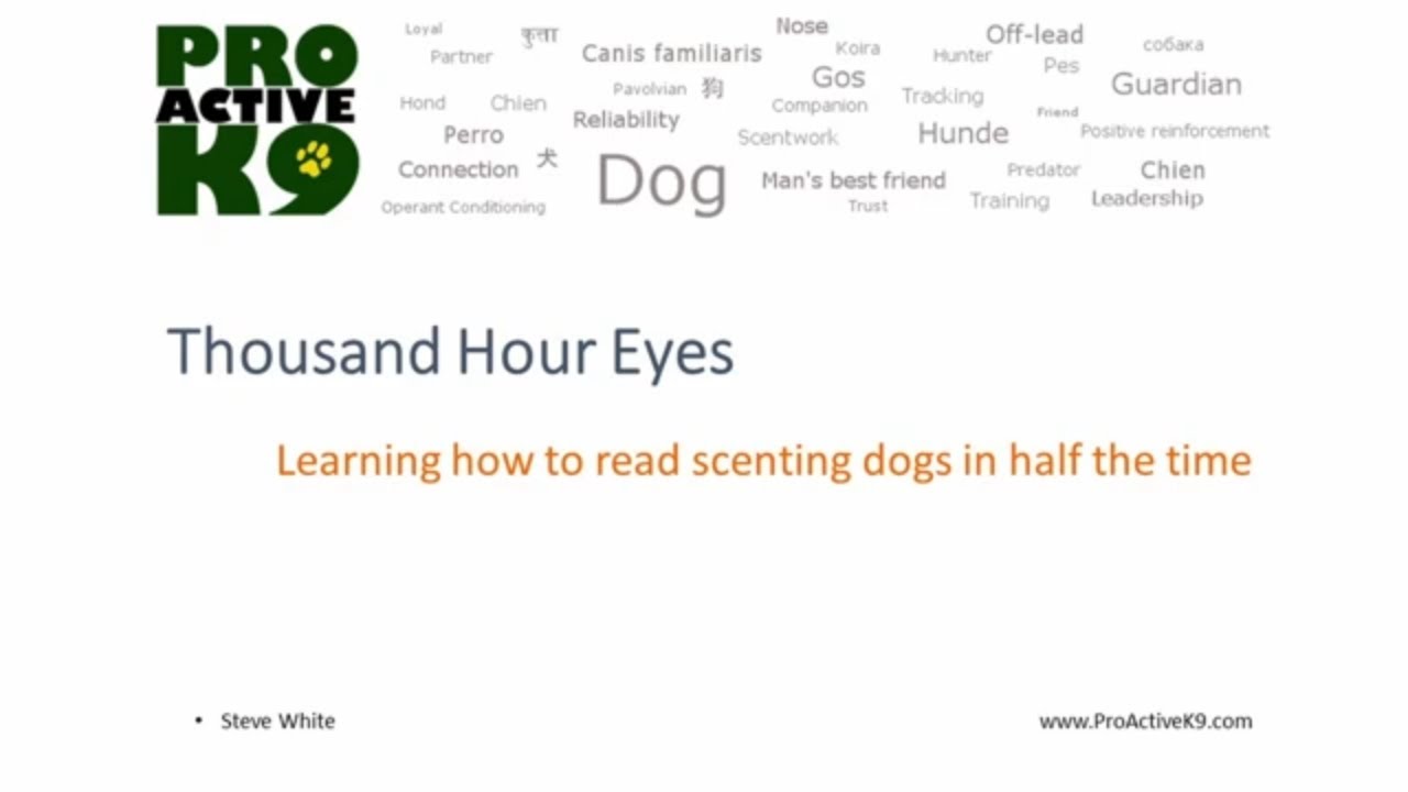 Thousand Hour Eyes, Listing the Eight Scent Work Indicators for 2025