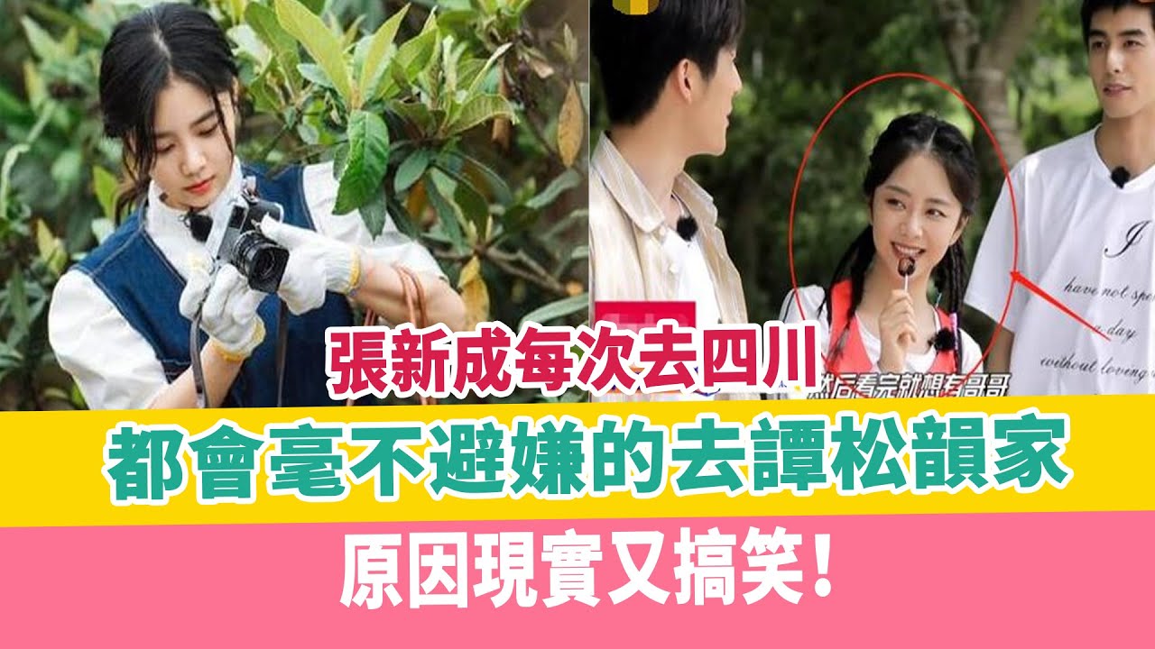 張新成每次去四川，都會毫不避嫌的去譚松韻家，原因現實又搞笑！