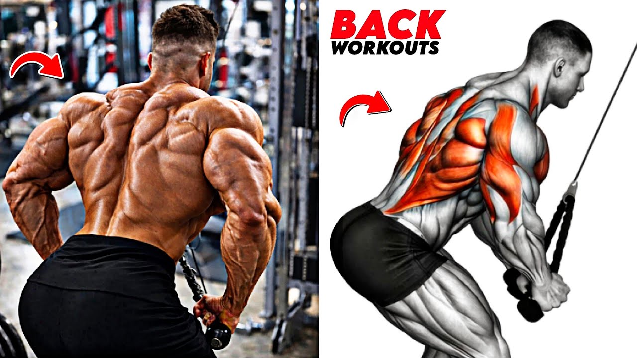 8 Best Back Exercises For Massive Width, Thickness & Strength 🔥